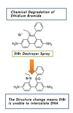 Ethidium Bromide destruction by the EtBr Destroyer spray